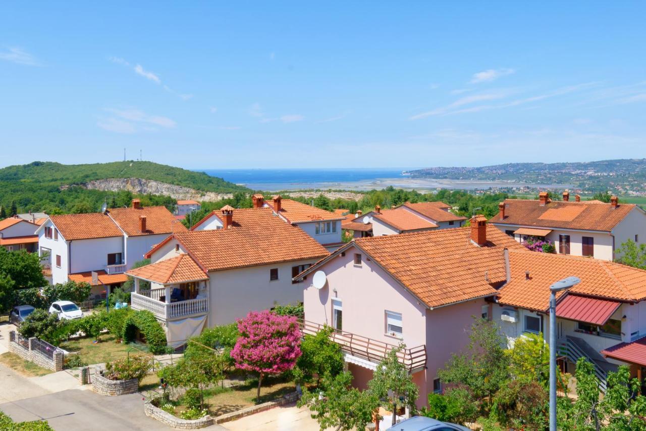 Apartments Belvedere By Rent Istria Plovanija Exterior foto